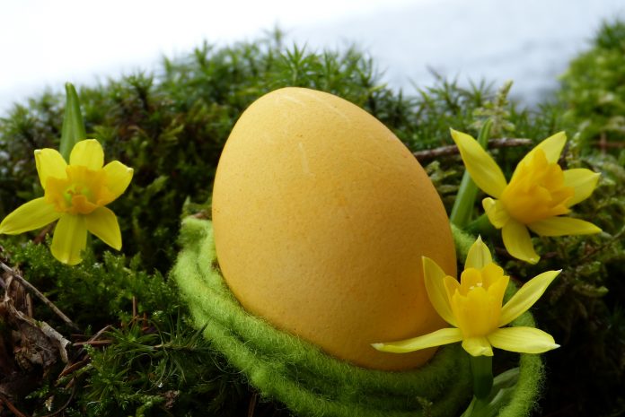 uovo di pasqua uovo di pasqua
