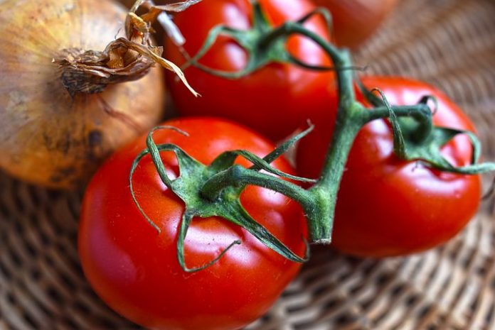 pomodori pomodori