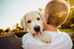 Possedere un cane fa bene al cuore e ti allunga la vita: lo dice la scienza