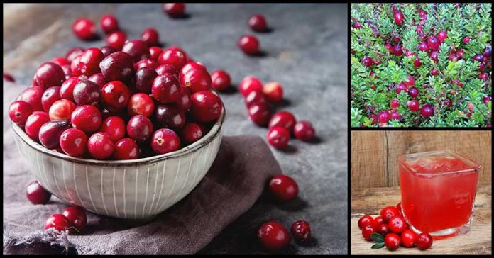 succo mirtillo rosso