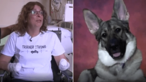 A una donna sono state amputate le mani e le gambe a causa della saliva del suo cane