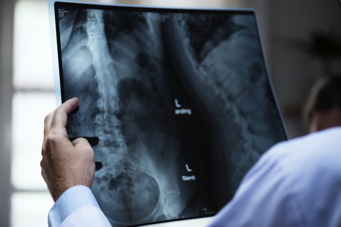anatomia radiografia