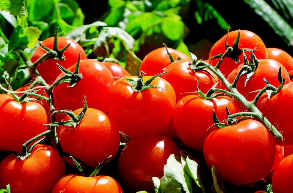 Perché il pomodoro fa bene alla salute? Le proprietà nutritive