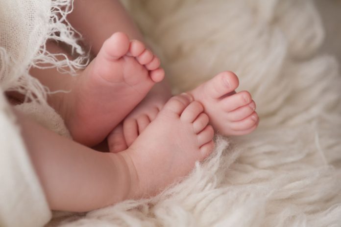 bambini