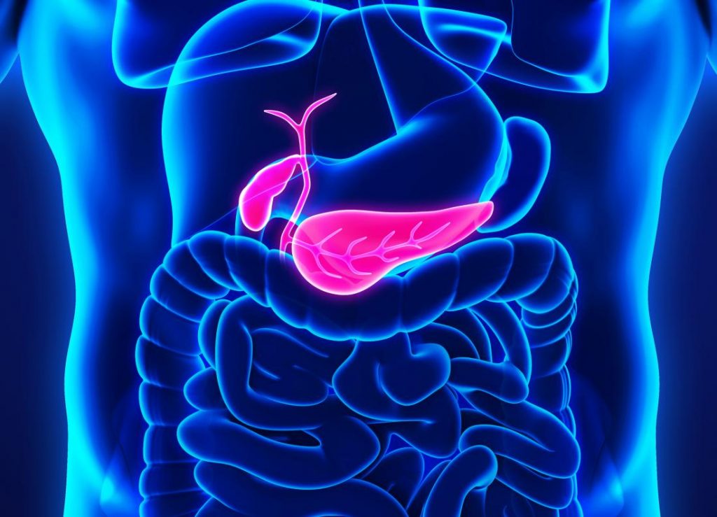Cancro al pancreas: sintomi, fattori di rischio, trattamento e prevenzione