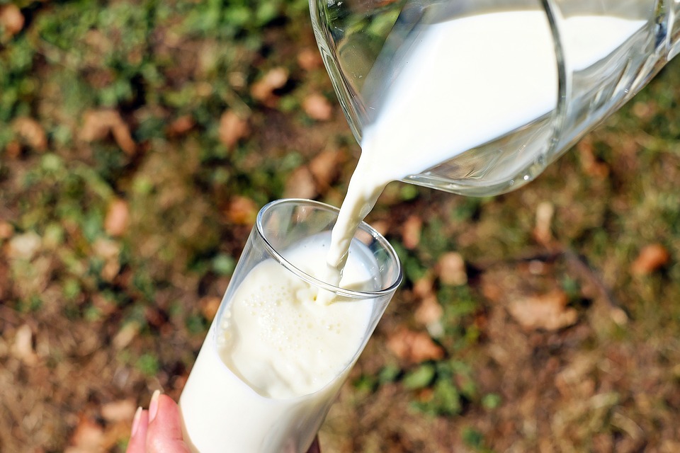 In Piemonte il primo latte fresco con proteina digeribile