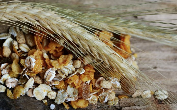 muesli