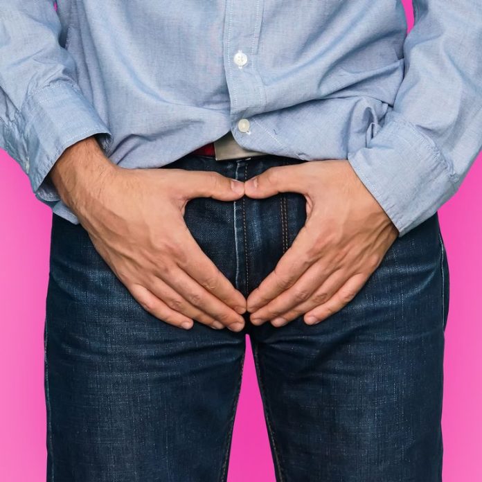 testicoli