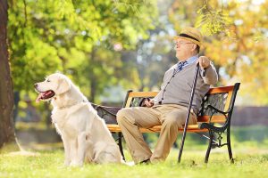 Per il cuore degli anziani avere un cane fa bene, ecco perché