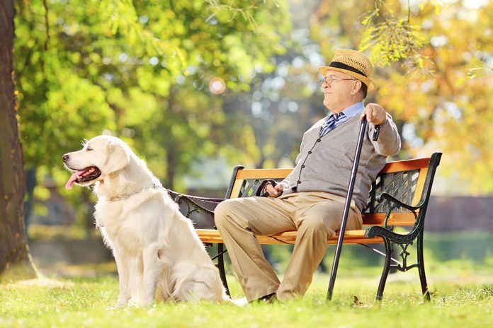 anziani e cane