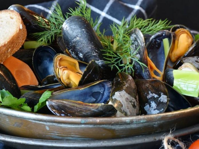 cozze