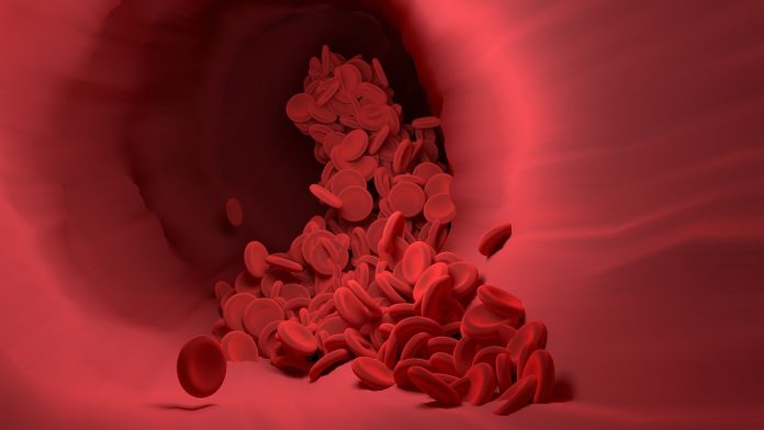 cellule del sangue