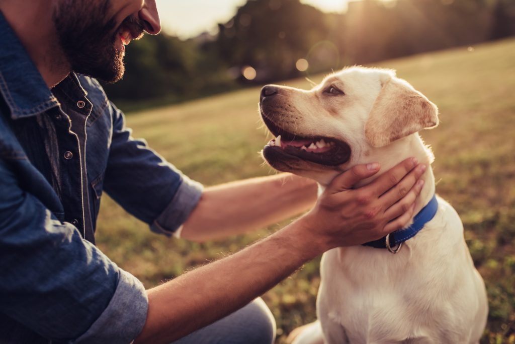 come-capire-se-il-tuo-cane-sta-male