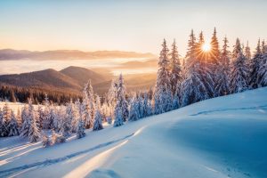 Perché non si deve mangiare la neve?