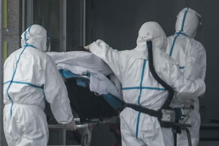 virus cina virus cina
