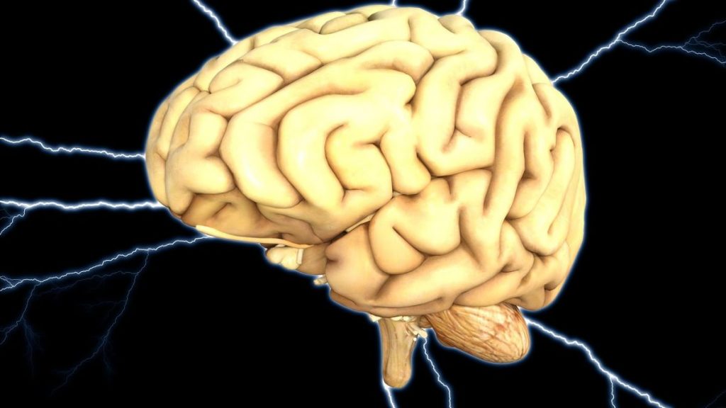 La storia dell’uomo che ha vissuto con un verme solitario nel cervello per 14 anni