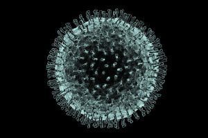 Coronavirus: volontari verranno infettati per trovare un vaccino