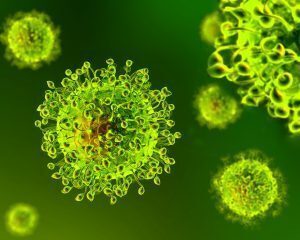 Coronavirus: le temperature calde fermeranno l’epidemia?