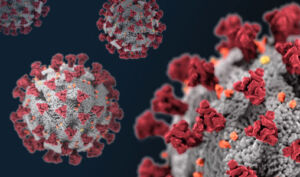 Coronavirus, alcuni immuni anche senza il contatto con il Sars-CoV-2