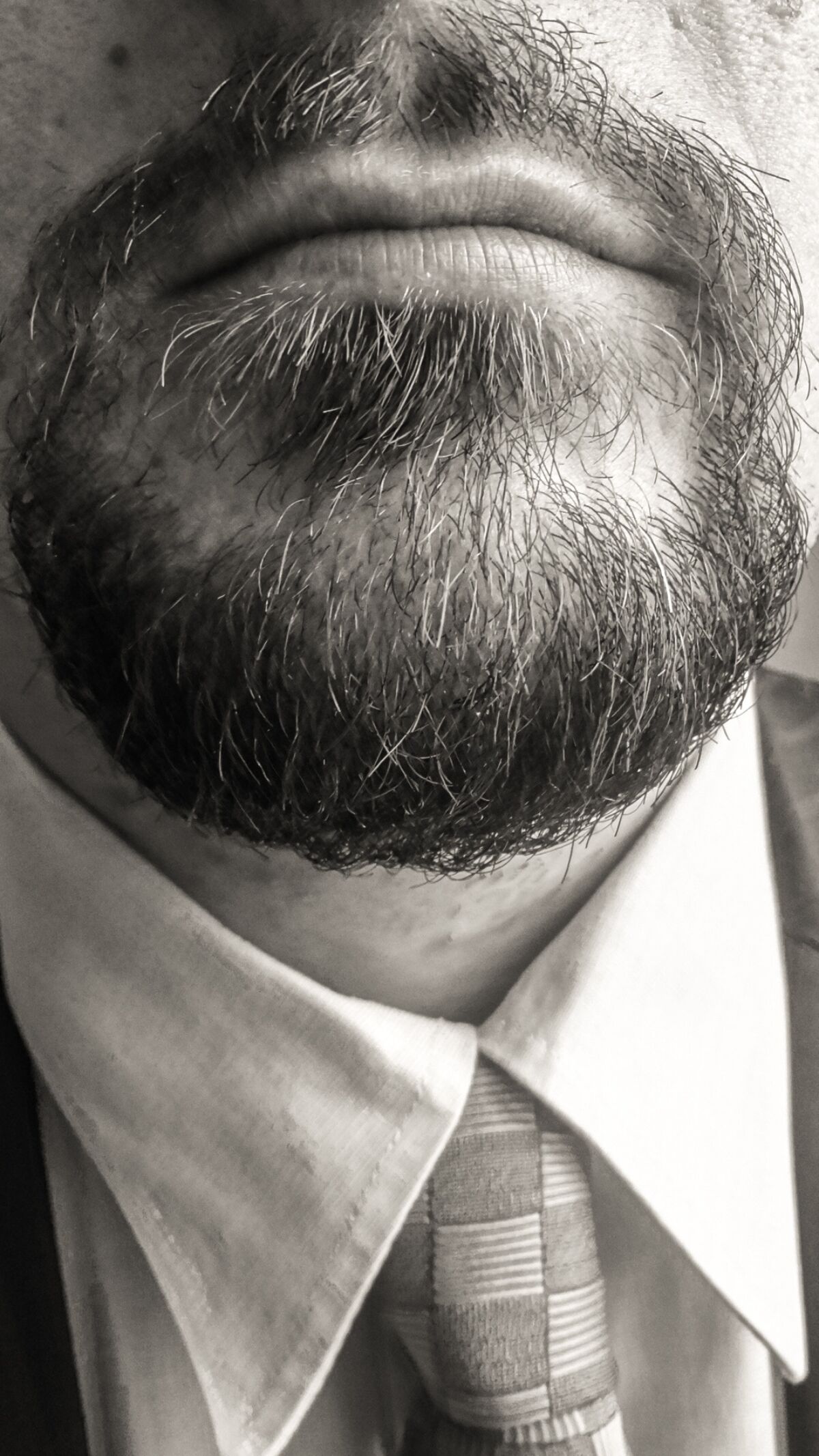 Perche Lo Stress Fa Venire La Barba Bianca