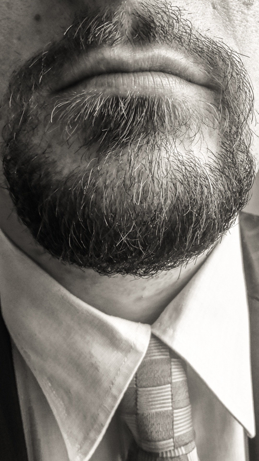 Una Seccatura Che Fa Venire La Barba