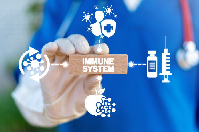 Doctor hold wooden block with immune system words. Immune human system health concept. Immunity medical cure.