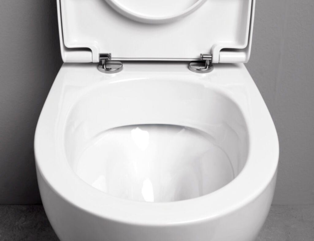 L’acqua del WC rivela il tenore di vita, lo dice uno studio