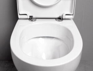 L’acqua del WC rivela il tenore di vita, lo dice uno studio