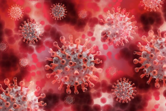 coronavirus coronavirus