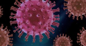 Il coronavirus è mutato in Cile? In corso le indagini degli scienziati