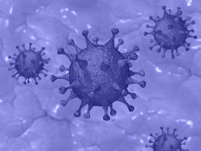 coronavirus coronavirus