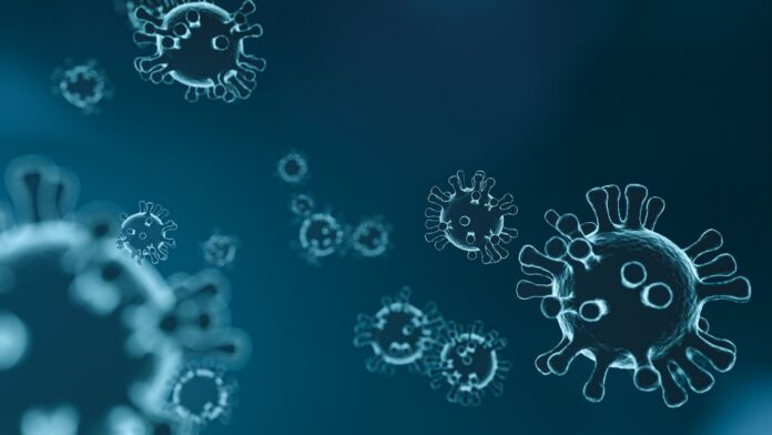 coronavirus coronavirus