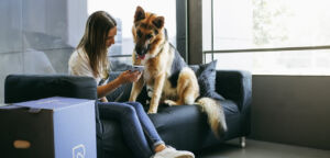 Cani al decollo: come prepararsi per tornare a volare