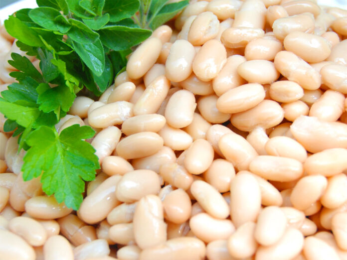 fagioli