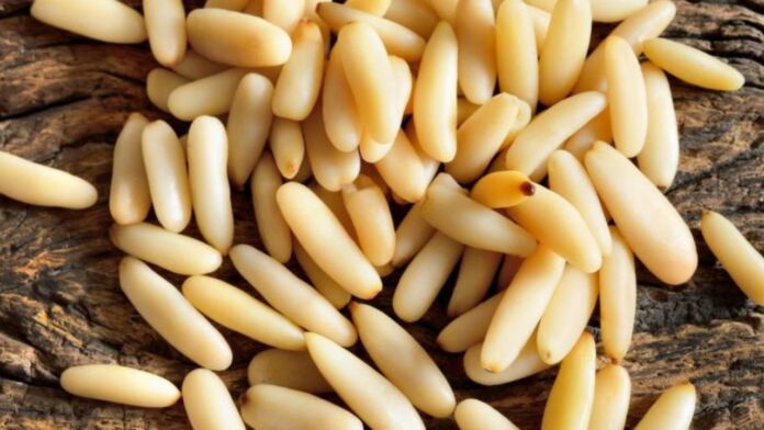 pinoli benefici salute