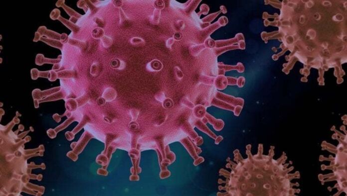 coronavirus anticorpi monoclonali
