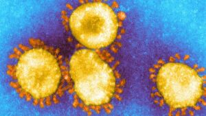 Nuova variante del coronavirus identificata nel Regno Unito
