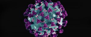 Covid-19, isolata in Italia la variante XJ del coronavirus