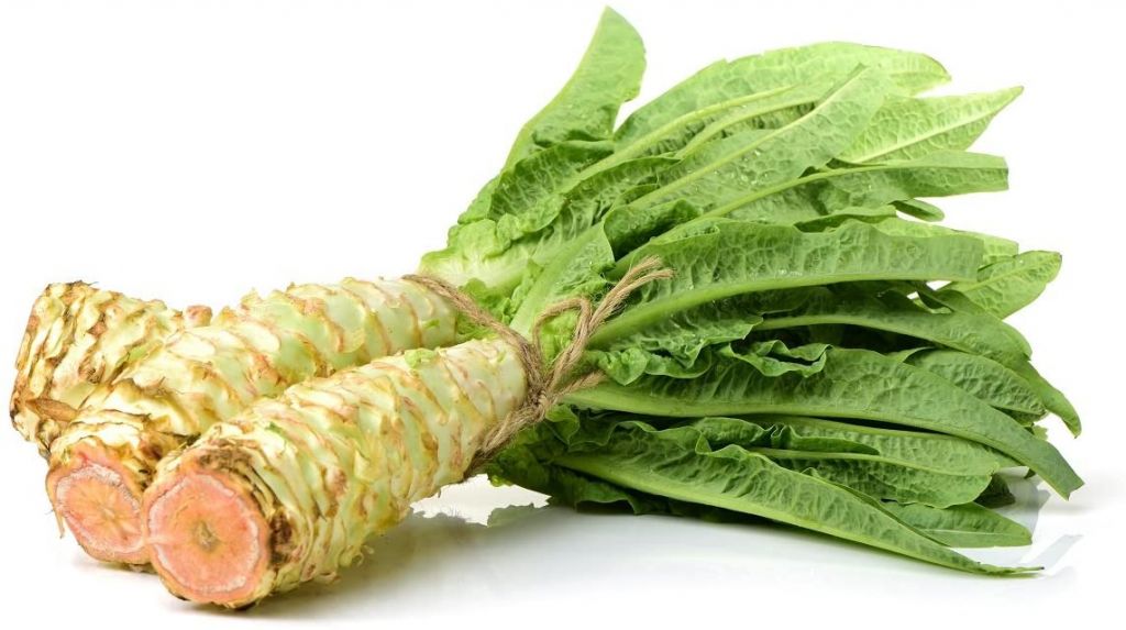 Cos’è la celtuce, la lattuga cinese? Come si mangia e benefici