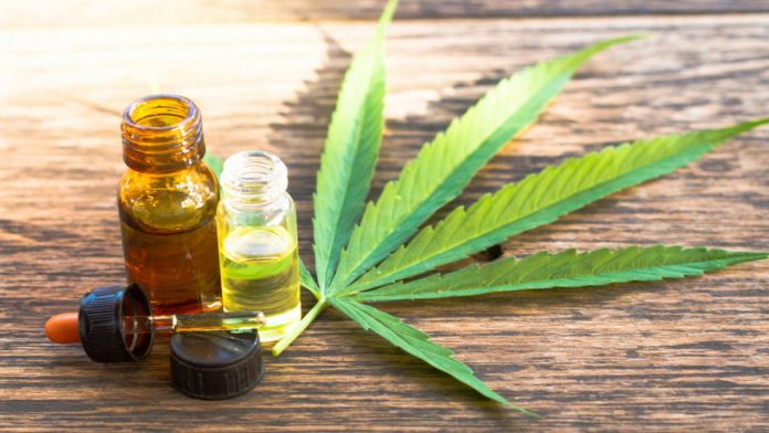 olio cannabis