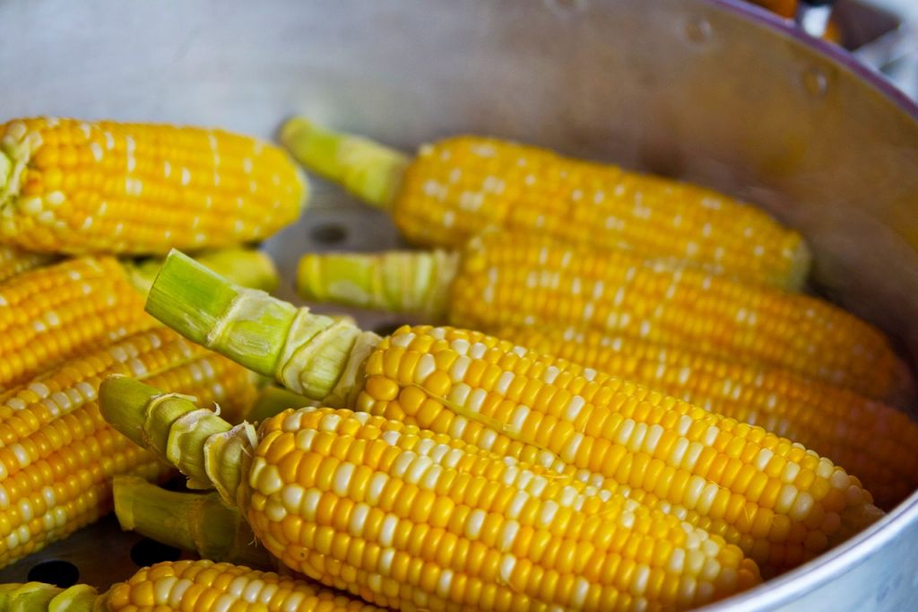 Cosa succede al nostro corpo quando mangiamo il mais?