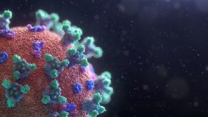 Variante indiana del coronavirus è “doppio mutante”, è pericolosa?