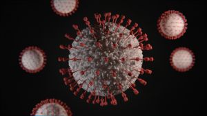 Quali sono i 6 virus pericolosi creati in laboratorio?