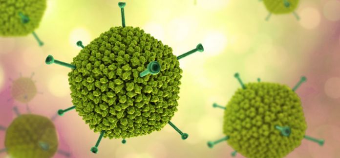 adenovirus