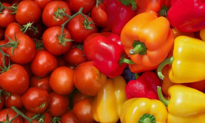pomodoro peperone