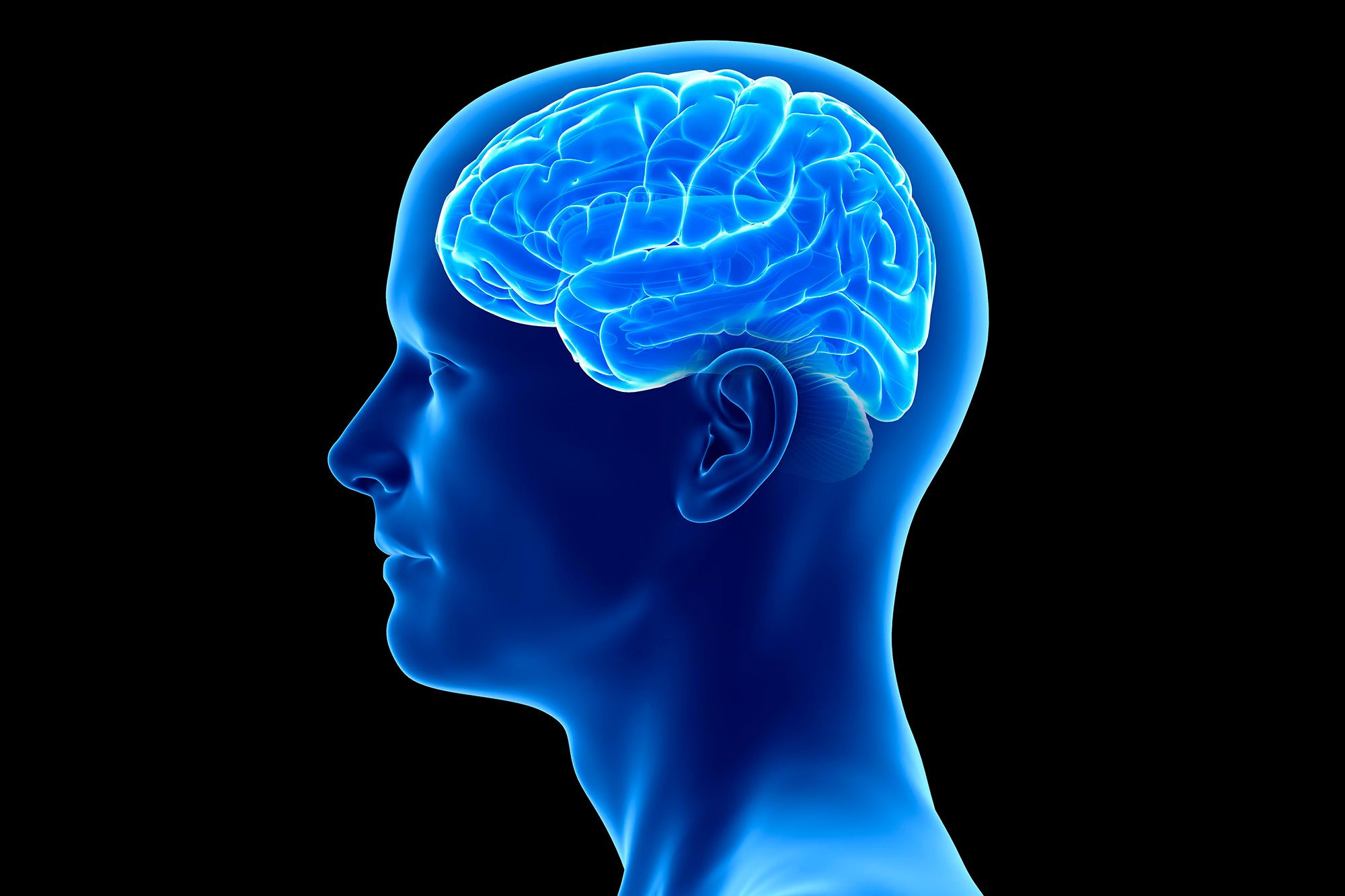 Brain фото. Синий мозг.