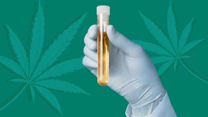 test antidroga