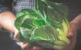 Perché è importante mangiare le verdure a foglia verde scura