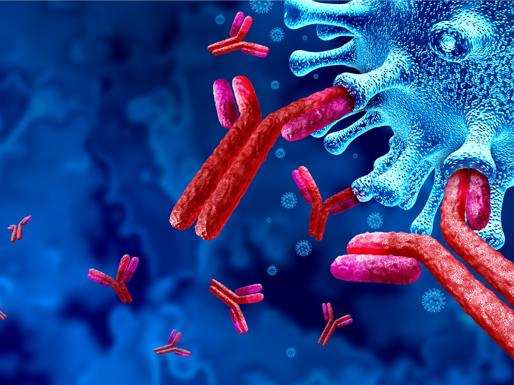 Антитела животных. Иммунизация животных для получения антител. Антитела в крови фото под микроскопом. Антитела заставка. Выработка организмом антител.