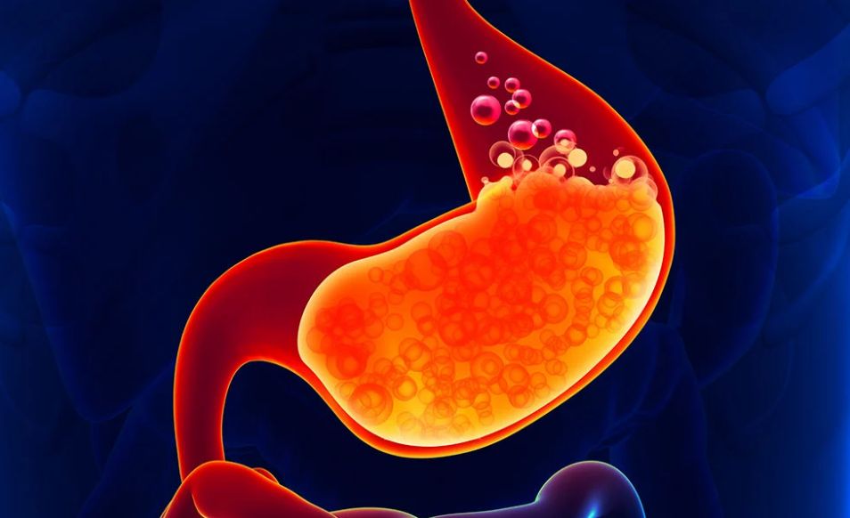 Cos’è il succo gastrico? E da cosa è composto?